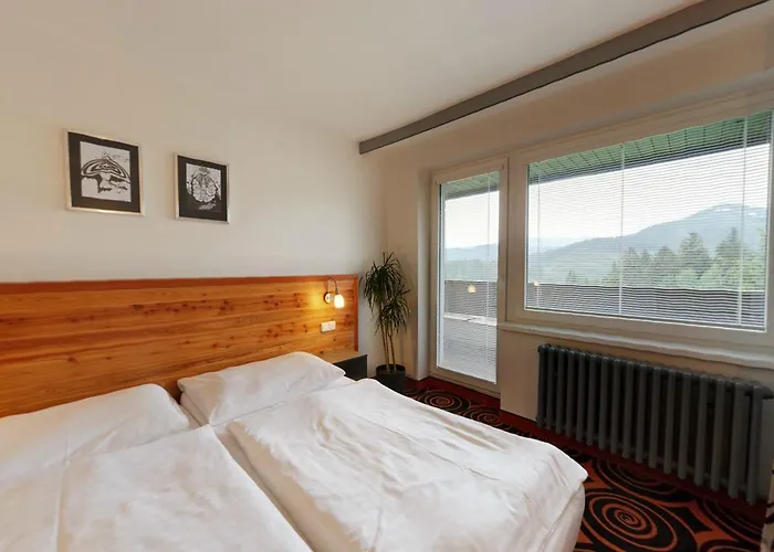 Hotel Duo 3*